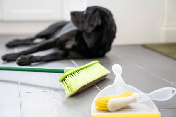 Vệ sinh & Khử mùi nhà có thú cưng (Pet-friendly Cleaning)